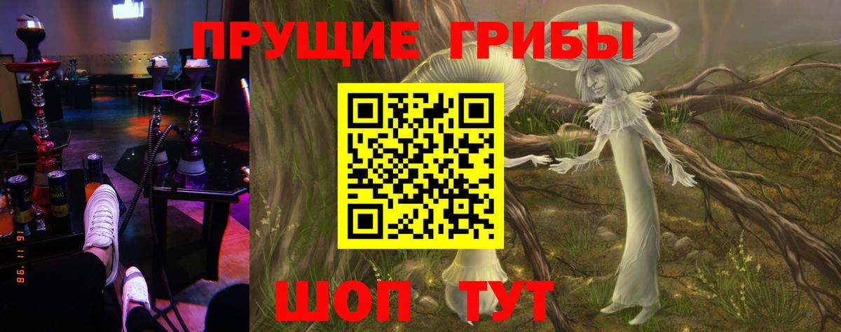 Бузулук  Галлюциногенные грибы мухоморы  Вход с VPN 
