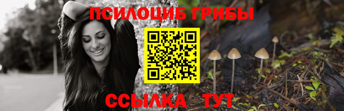 Псилоцибиновые грибы ЛСД Бузулук