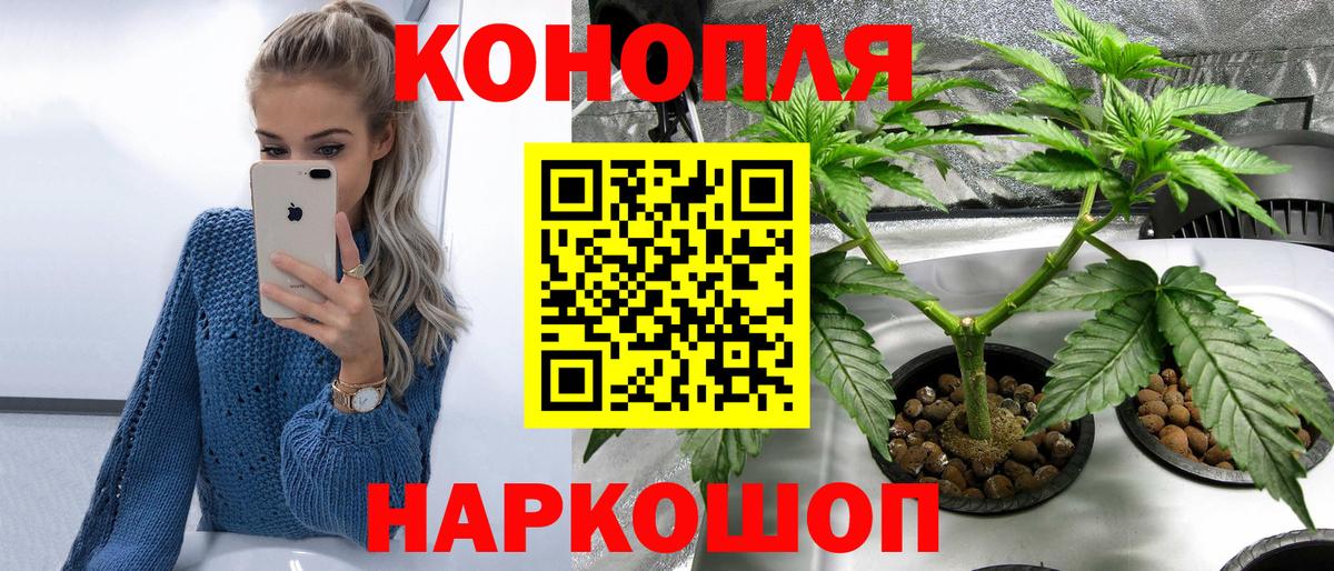 Каннабис сатива  Марихуана ГИДРОПОН  Бузулук  Бошки марихуана SATIVA & INDICA  МАРИХУАНА план  Вход с VPN 